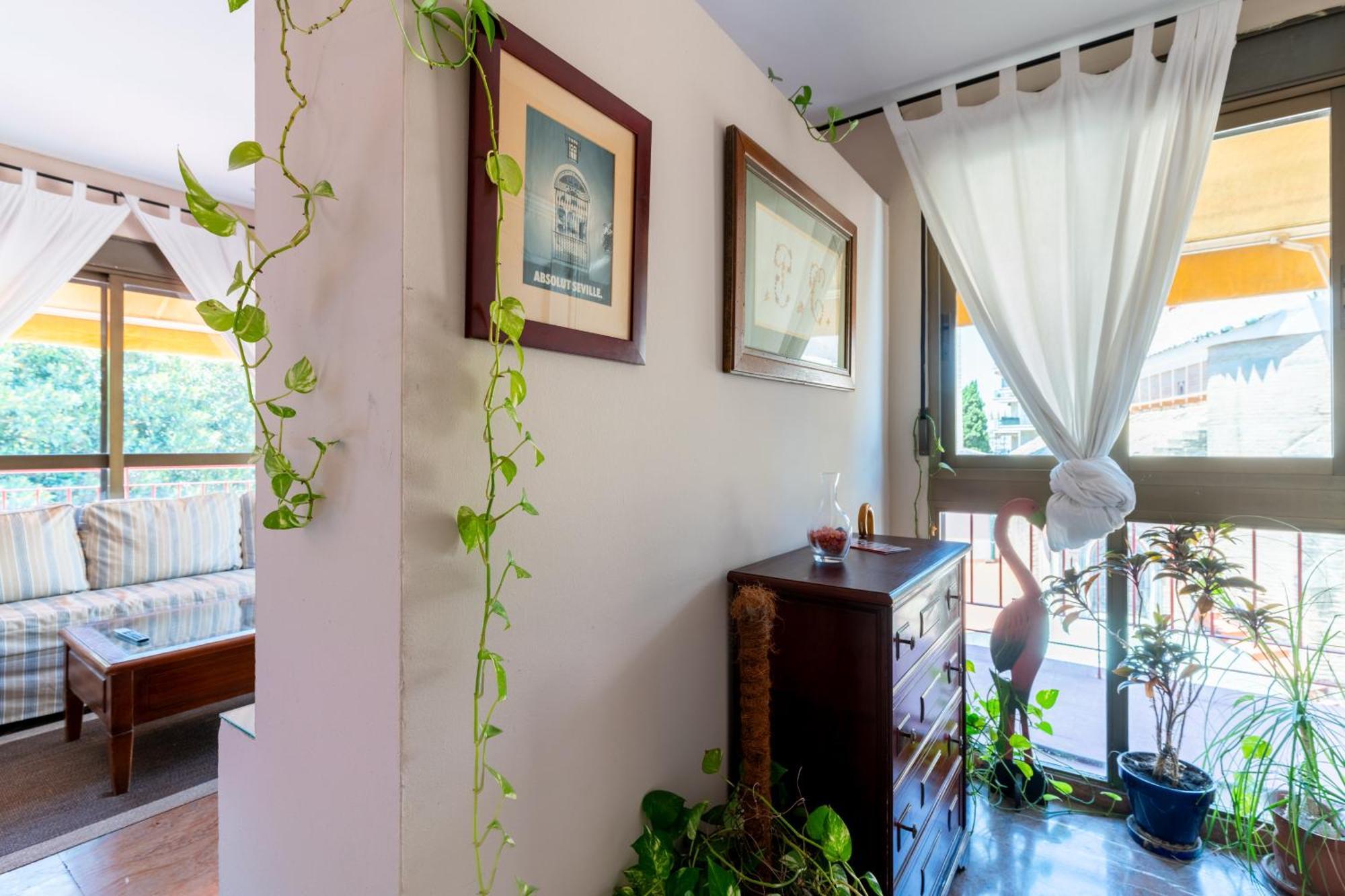 Penthouse!!! Center Of Seville!!! 2 Bedroom + 2 Bath!!! *
