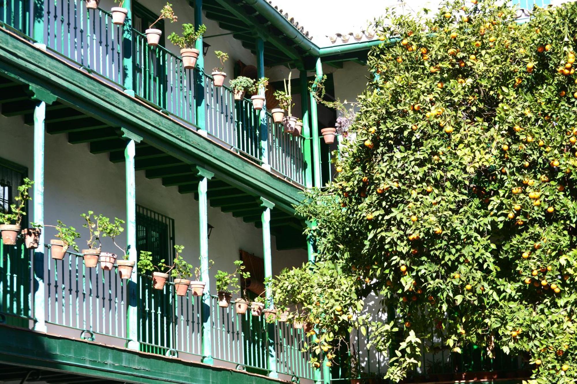 Estudio Setas I Apartment Seville