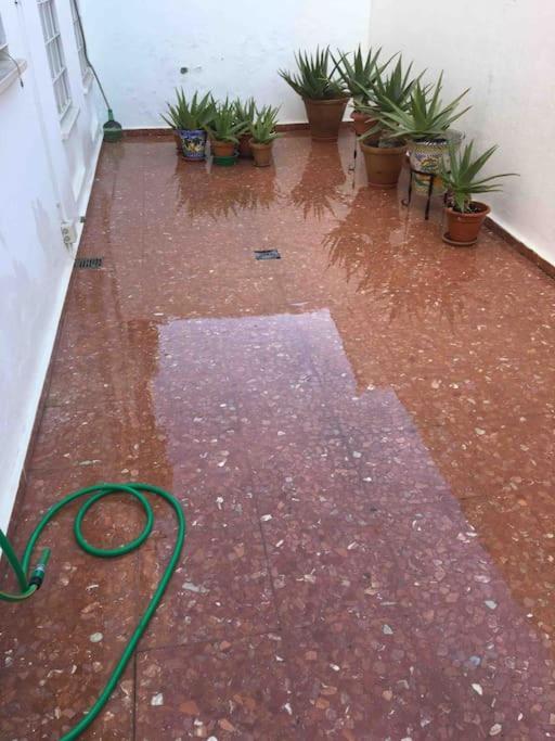 Casa Soleada En Calle Tranquila Seville