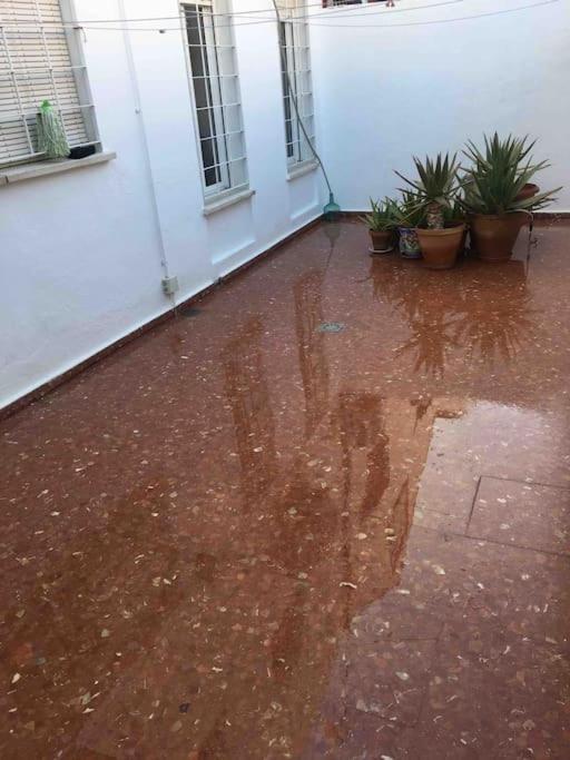 Casa Soleada En Calle Tranquila Holiday home Seville