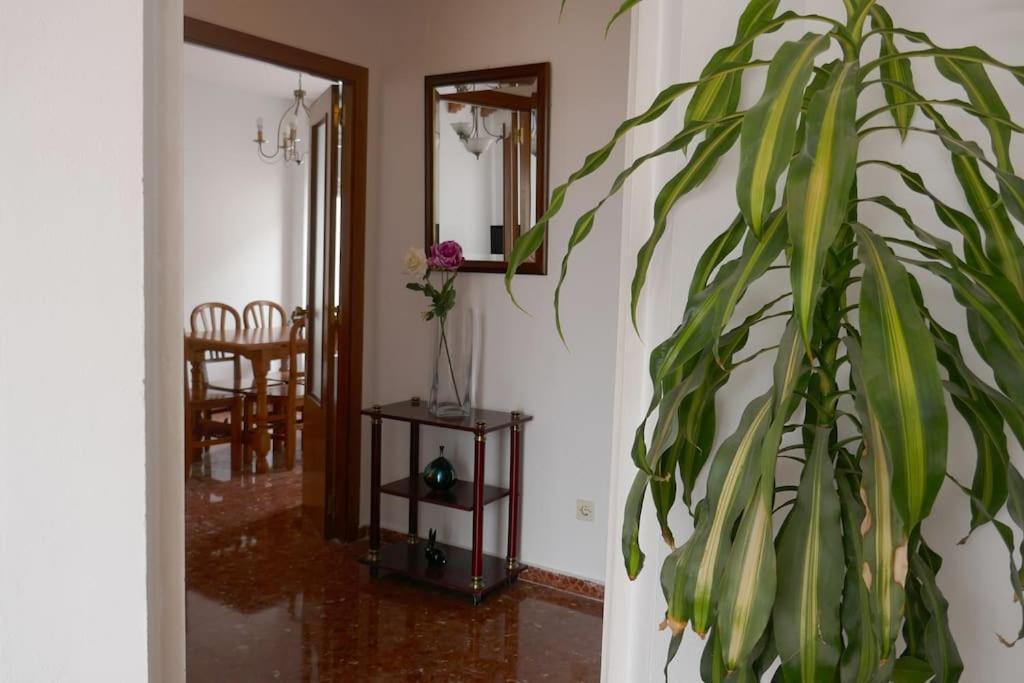 Holiday home Casa Soleada En Calle Tranquila *