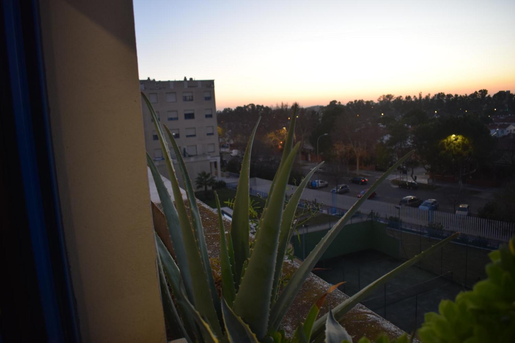 Fibes Lux Este. Apartment