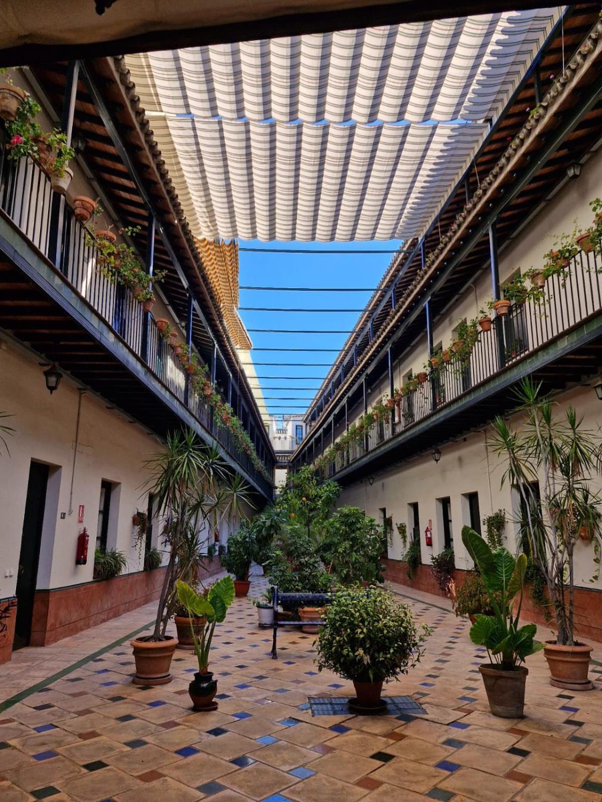 Patio Cartuja Apartment