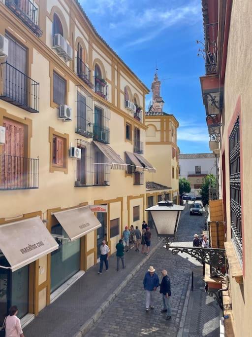 Espectacular Loft En El Centro Con Vistas Seville