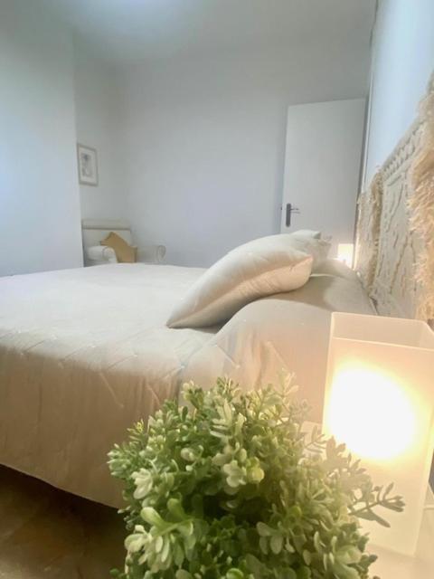 Apartment Magdalena Seville