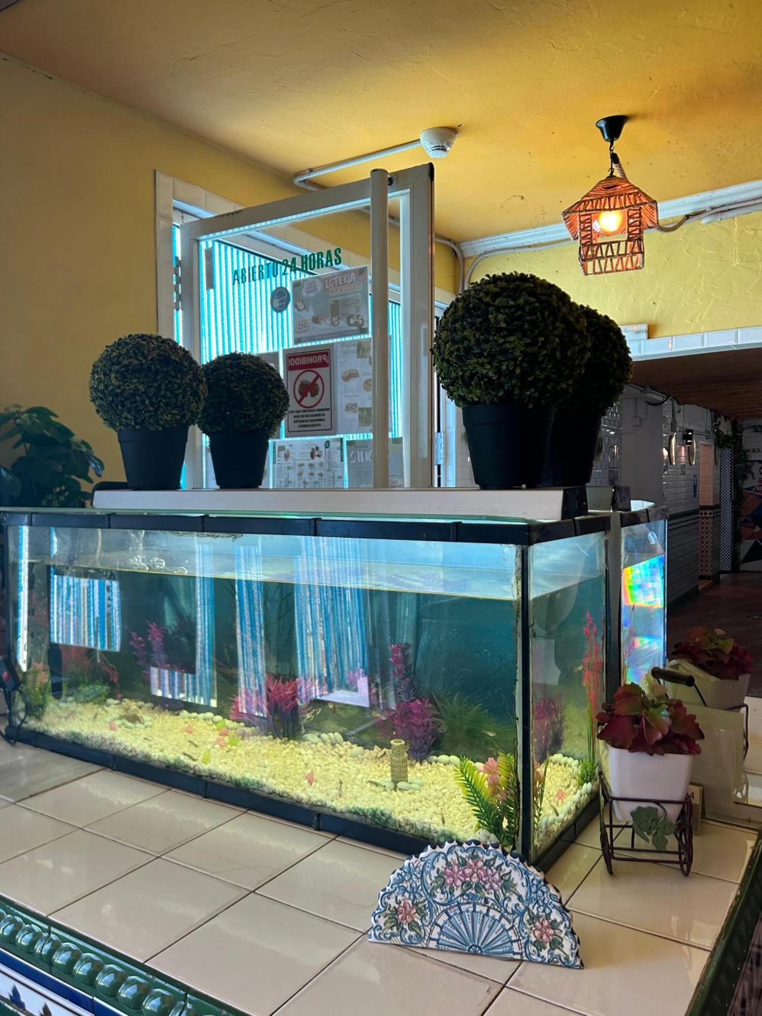 Avenida Andalucia - Solo Adultos Guest house Seville
