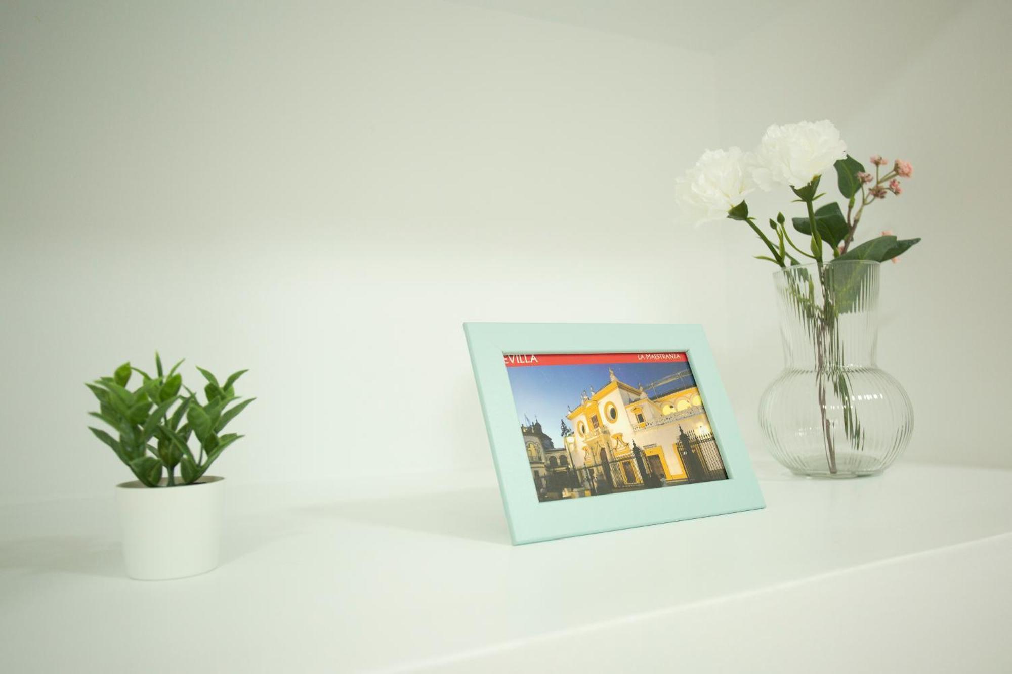 Apartment Wish Amparo De Seville