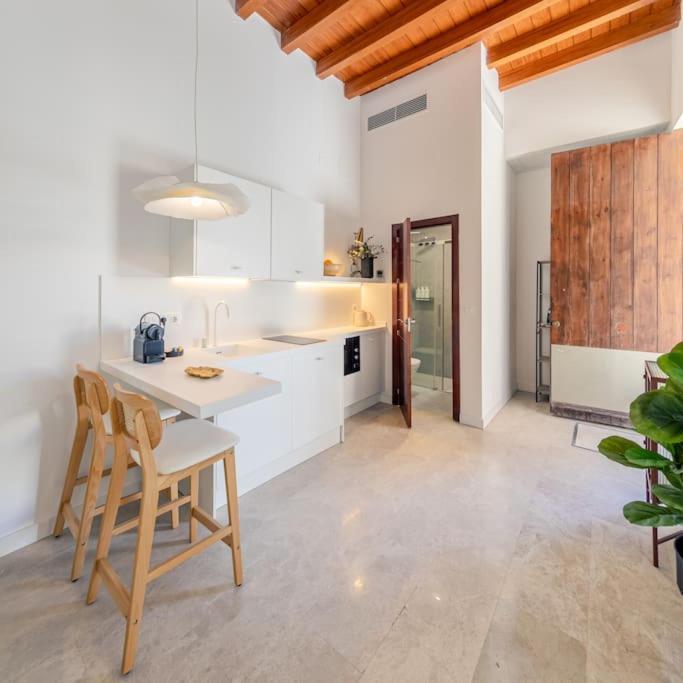 Apartment Isg Puerta Jerez 02