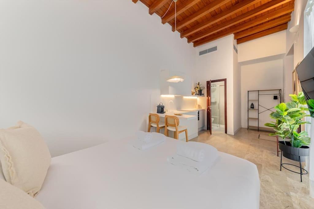 Apartment Isg Puerta Jerez 02