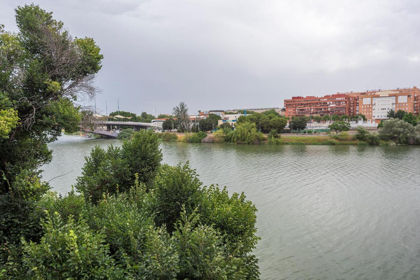 Apartment Alohamundi Castilla V-vi