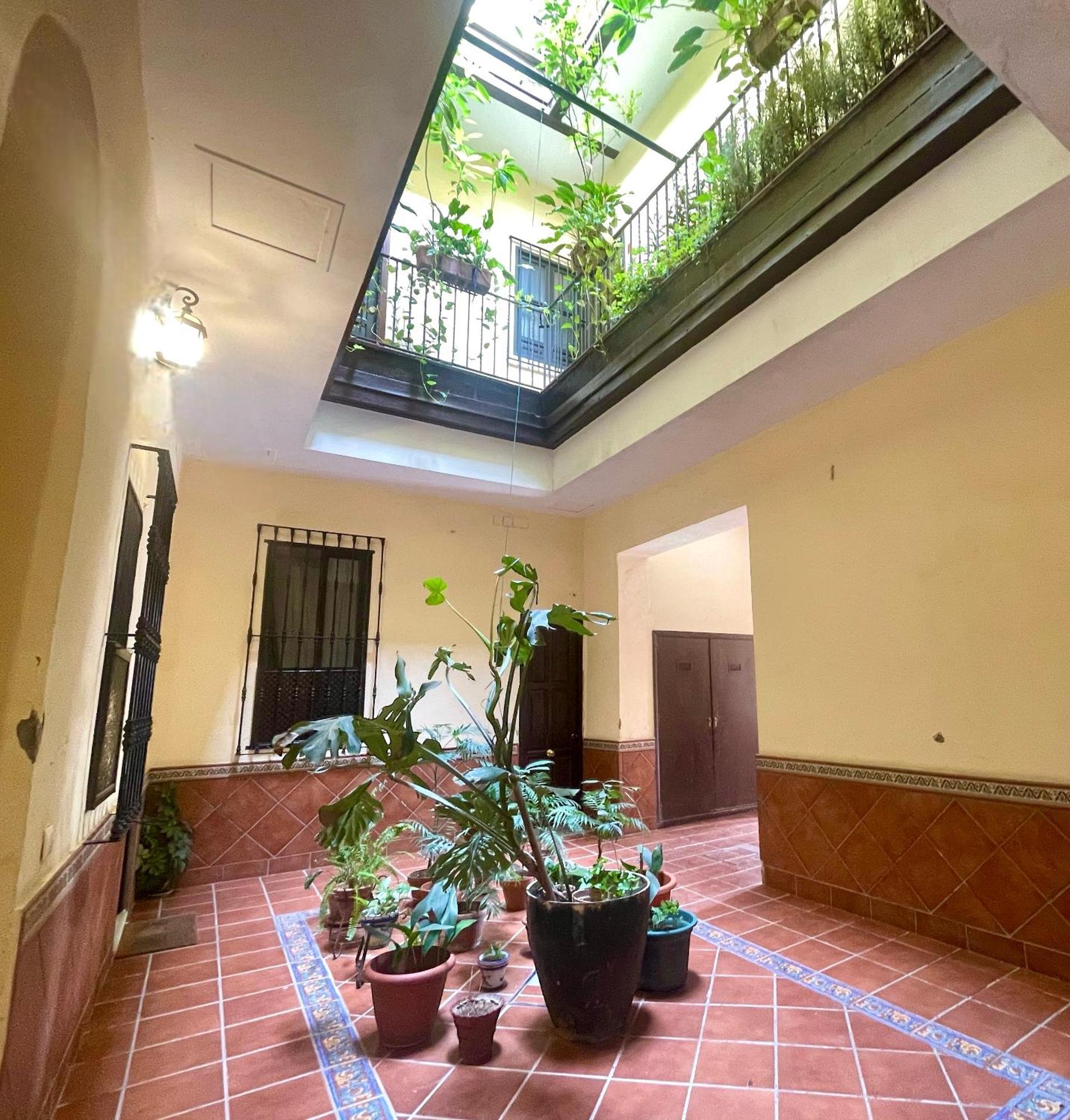 Apartment Eva Recommends Plaza De San Marcos