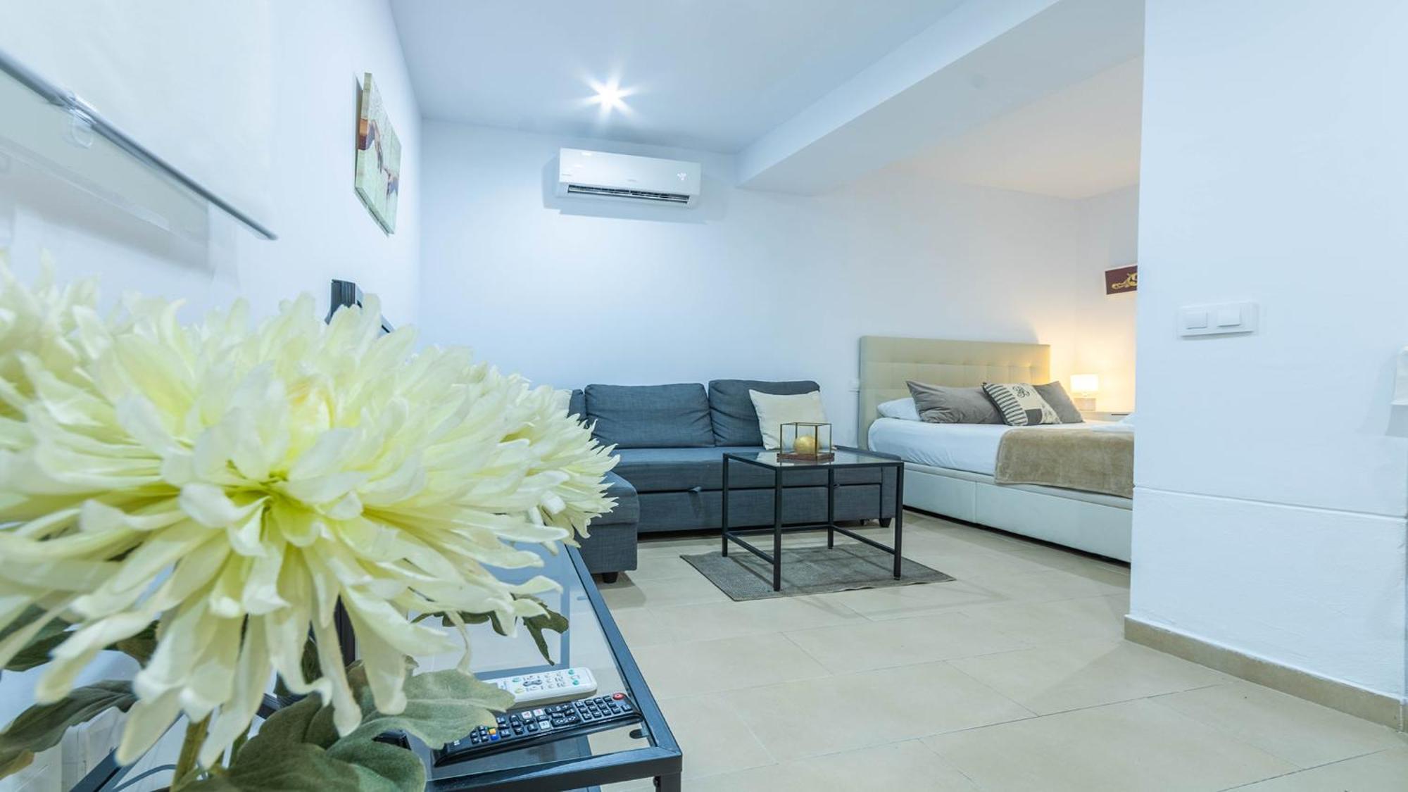 Natural Center Apartment *