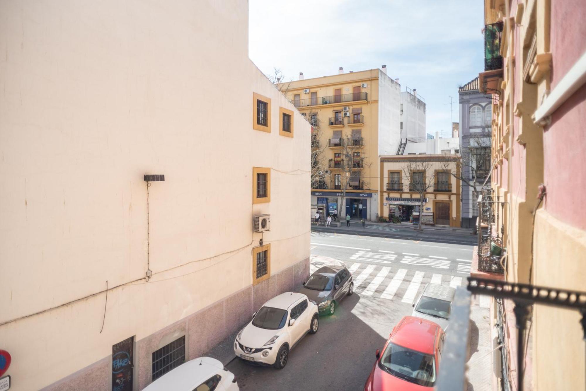 Beautiful And Bright- 1bd 1bth- Center Seville