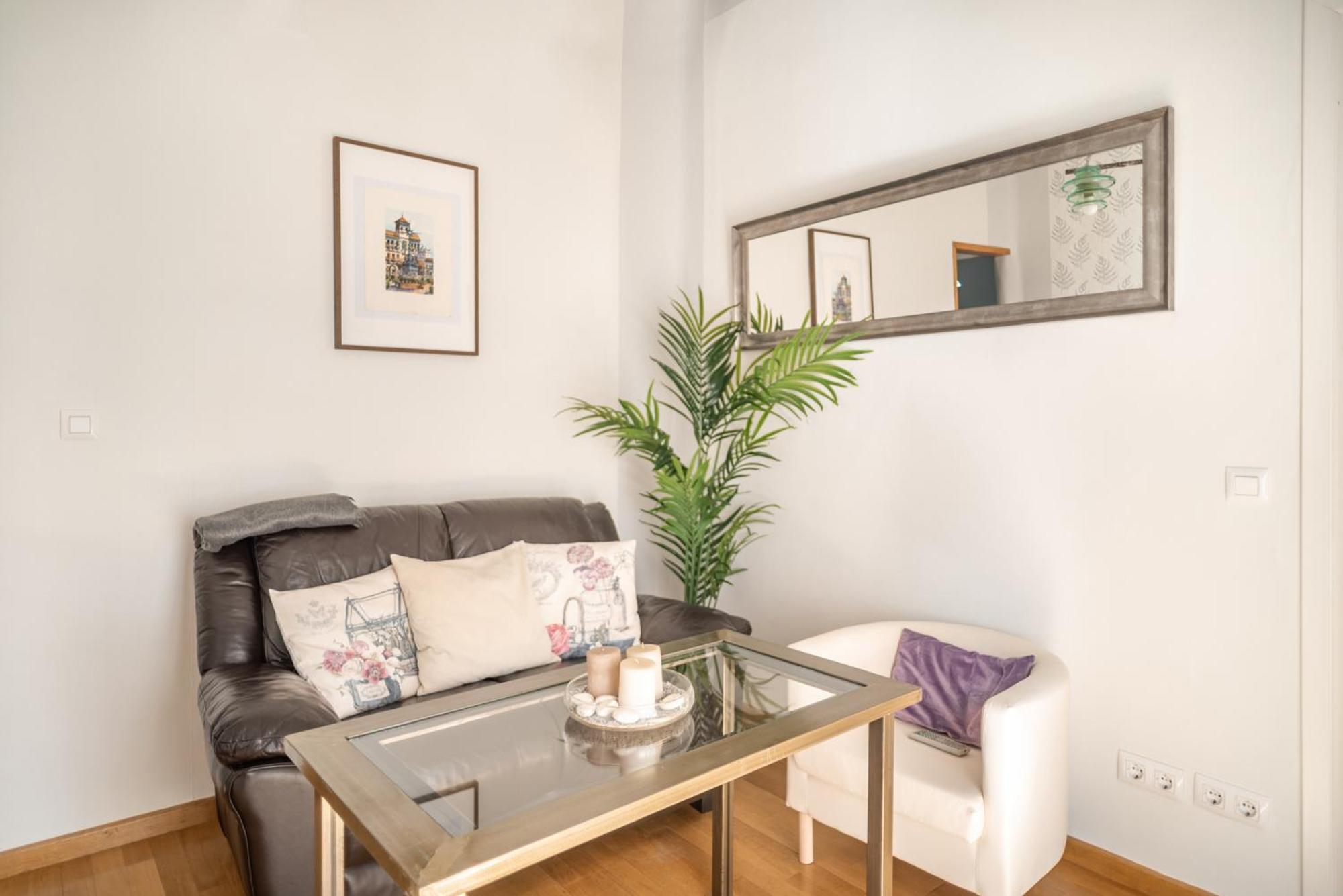 Beautiful And Bright- 1bd 1bth- Center Apartment