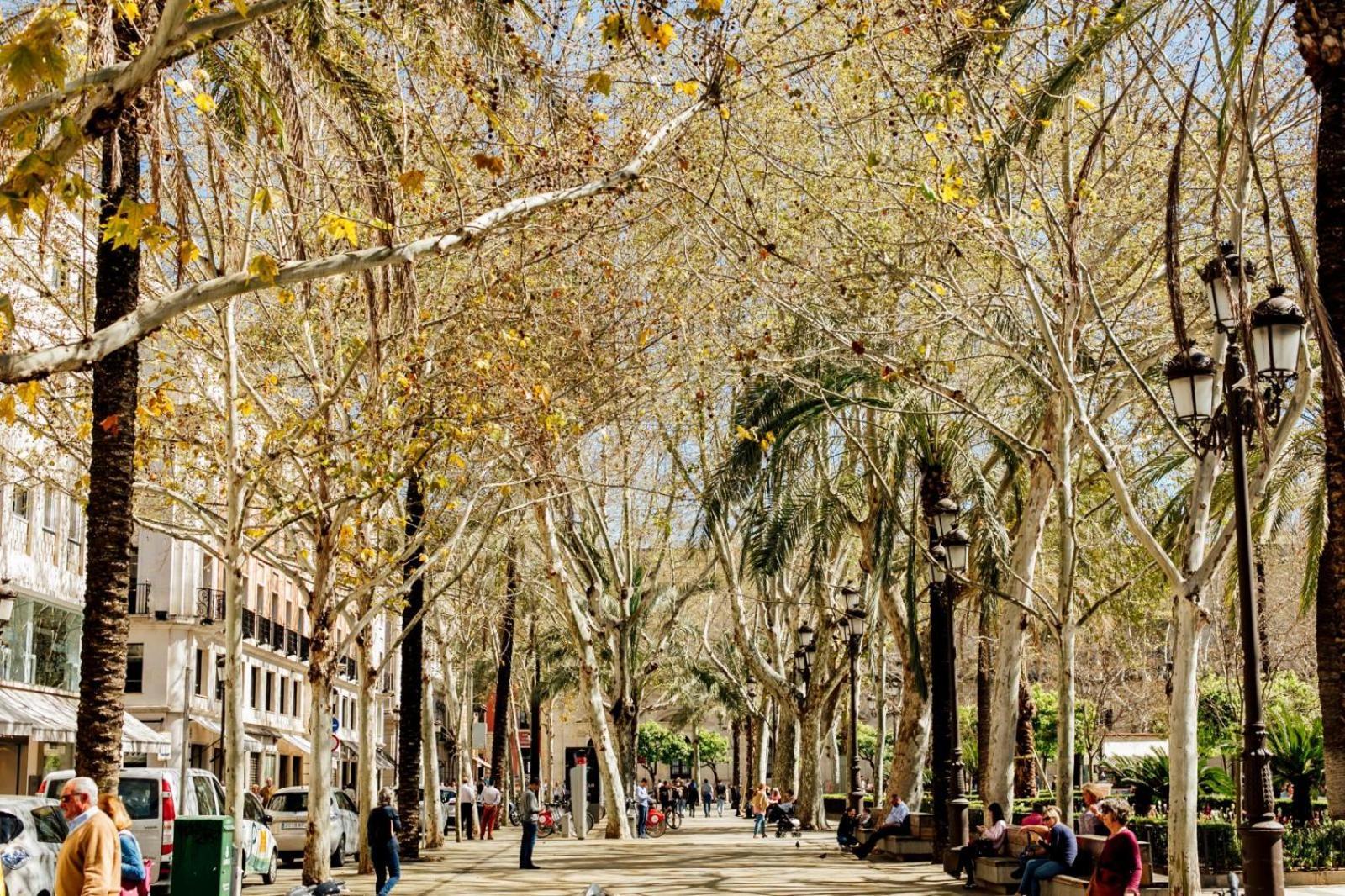 Plaza De La Magdalena I, Centro Historico * Seville