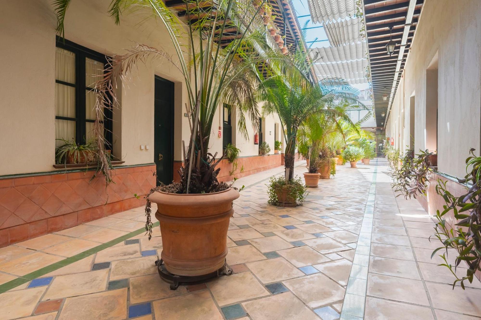 Avanti Cartuja Seville