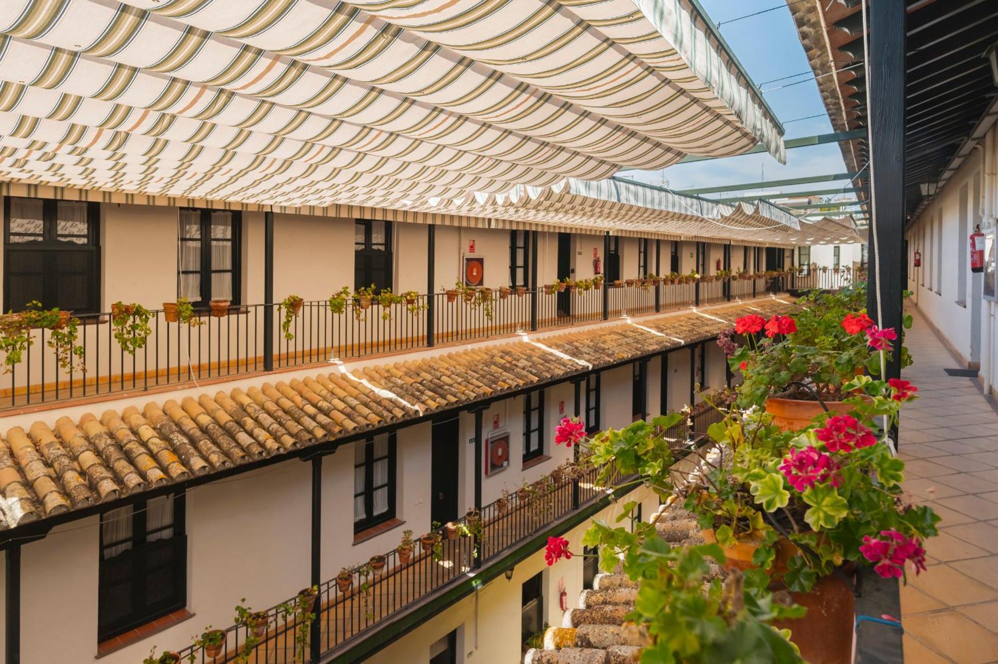 Avanti Cartuja * Seville
