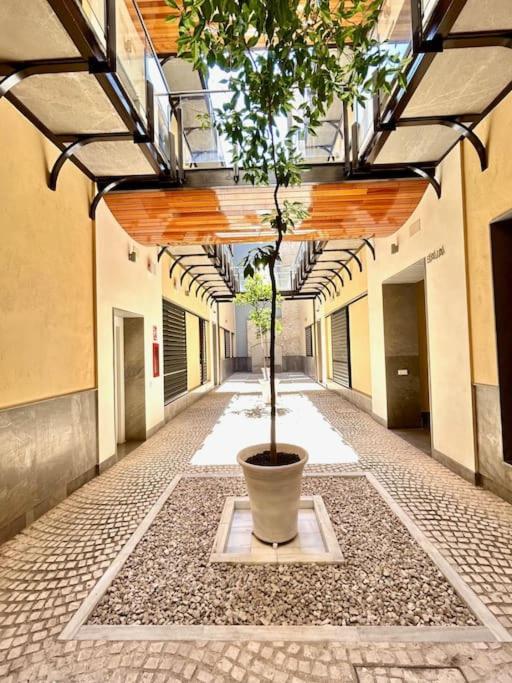 Hispalis Patio Del Rinconcillo Seville