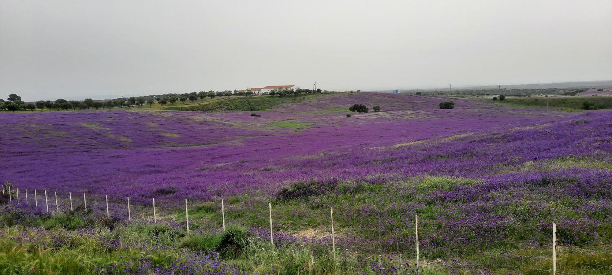 Country house El Refugio *