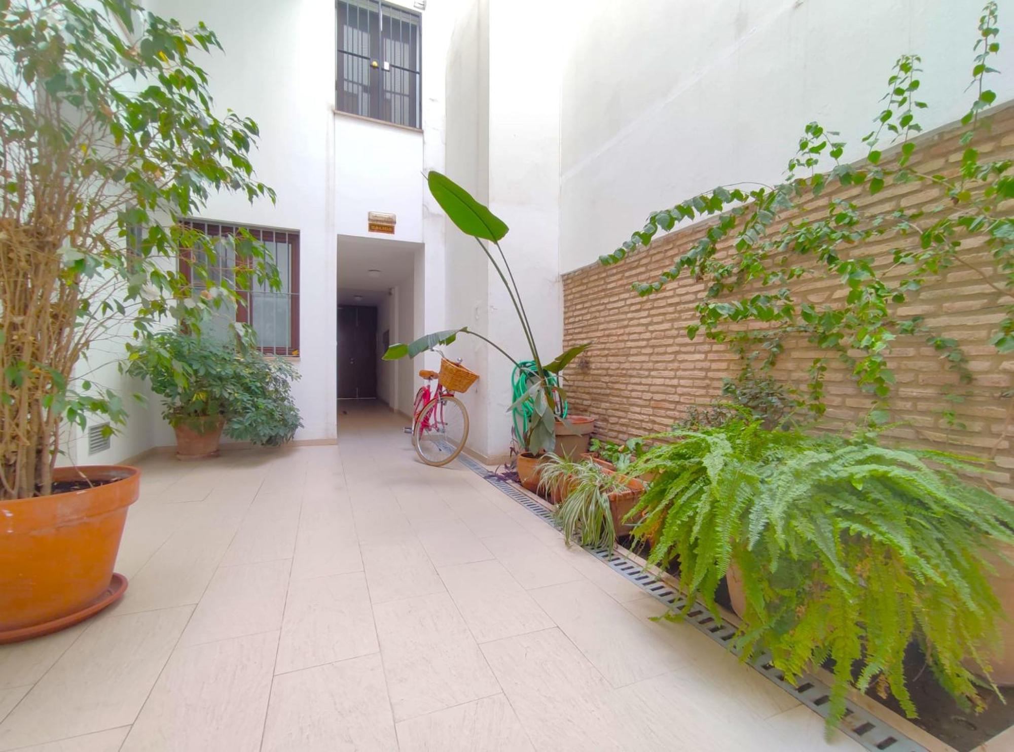 Apartment Alfaqueque *