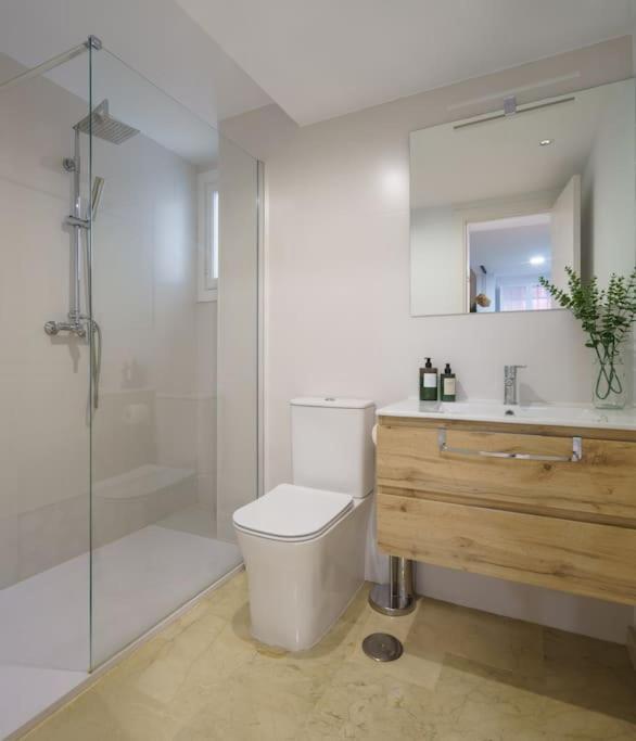Apartment Conde Ibarra *