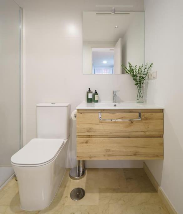 Apartment Conde Ibarra Seville