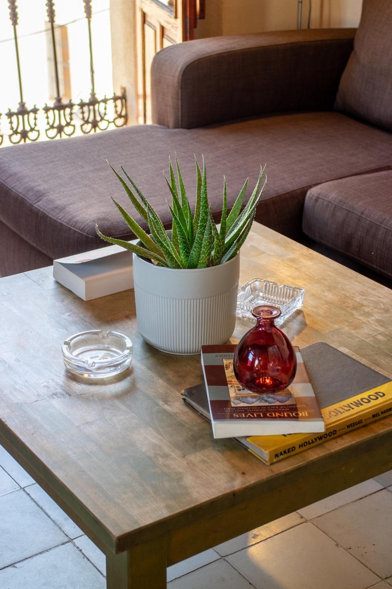 Precioso Duplex Con Gran Terraza En Pleno Centro * Seville