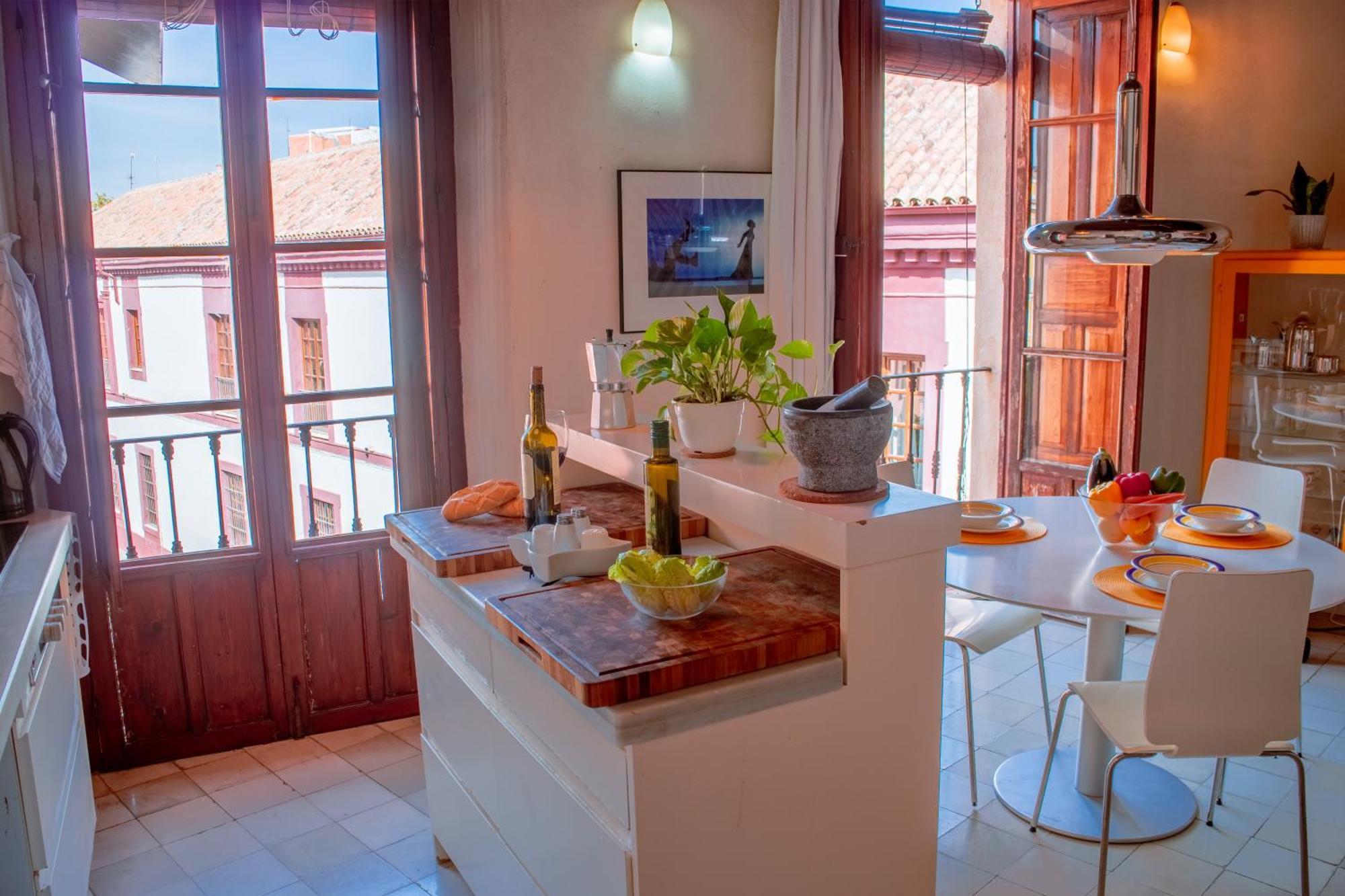 Precioso Duplex Con Gran Terraza En Pleno Centro Apartment Seville