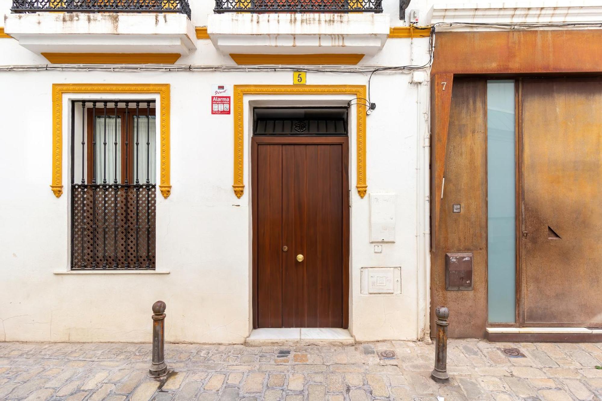Alohamundi Compania * Seville