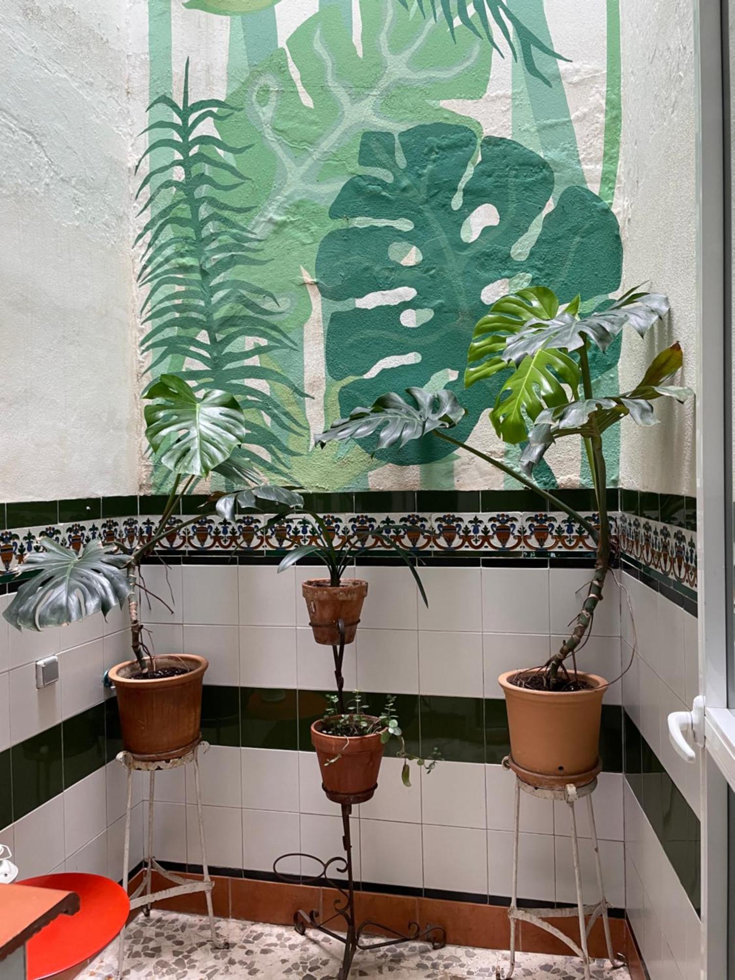 Casa Teo
