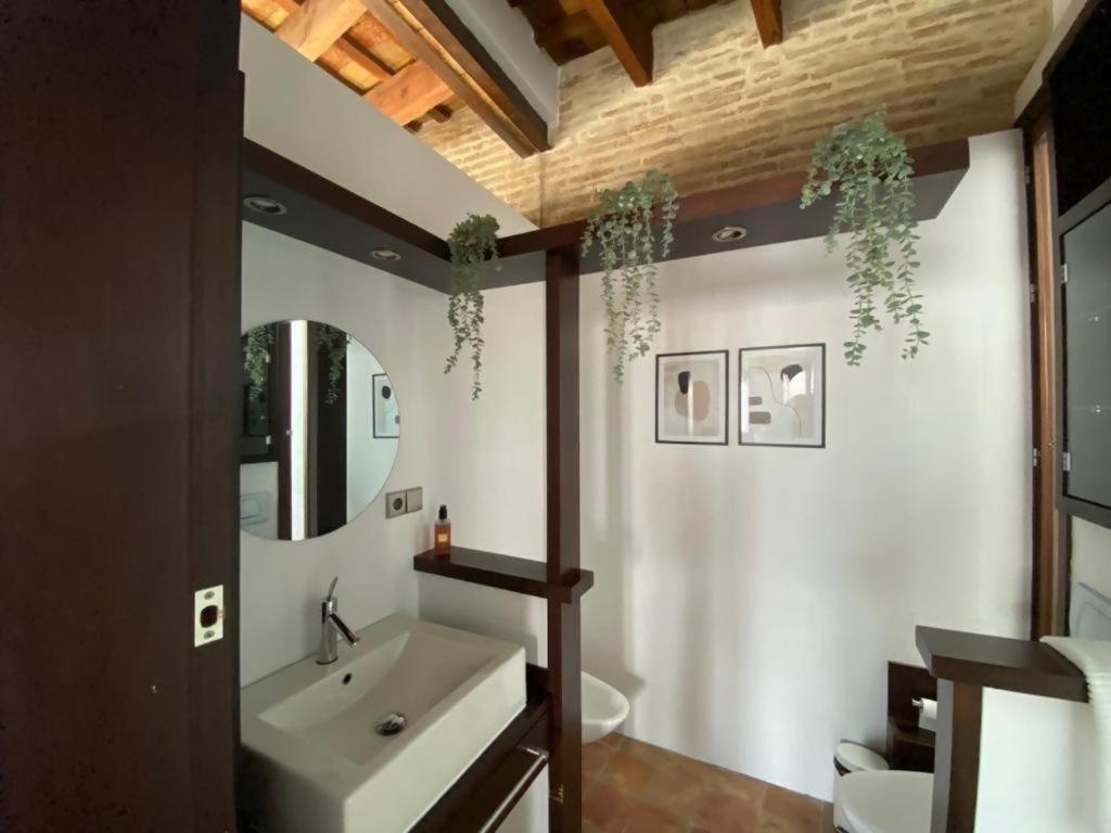 Hostfy Centro Puerta Osario Seville