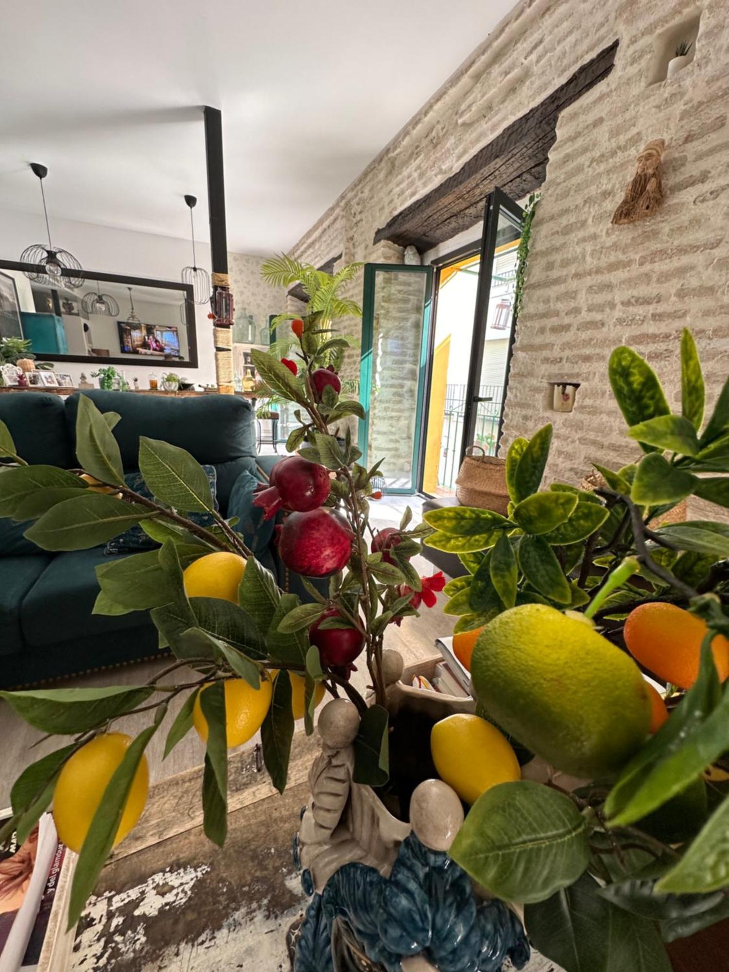 Casa Duque Compartida Familiar 1-Habitacion Con Bano Propio Seville
