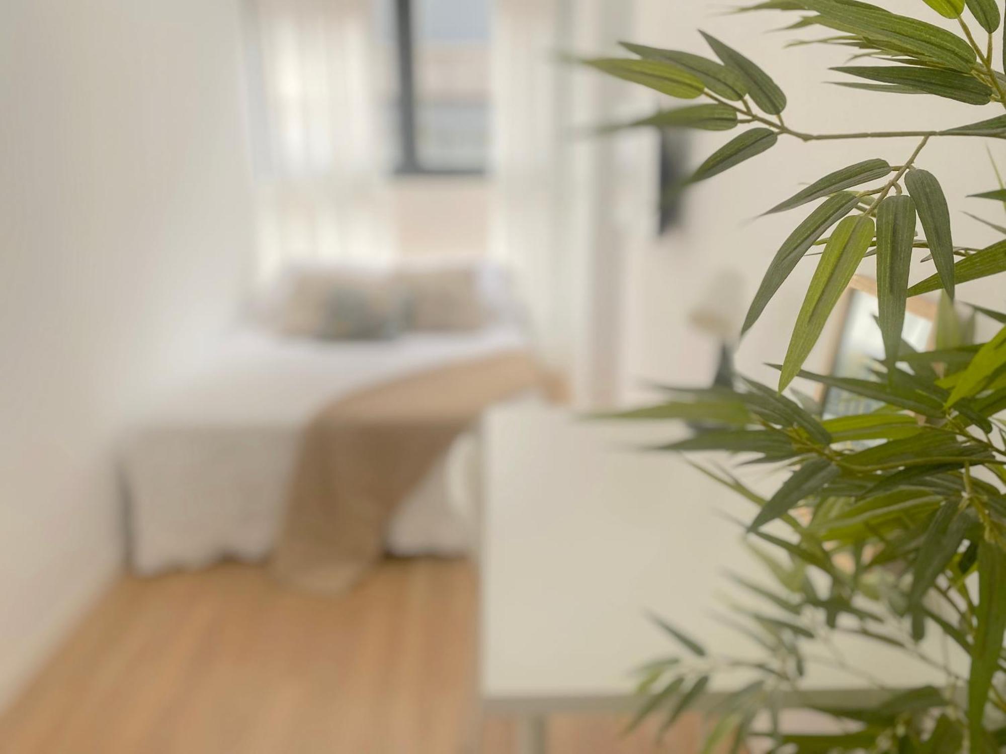 Premium Serenity Apartment