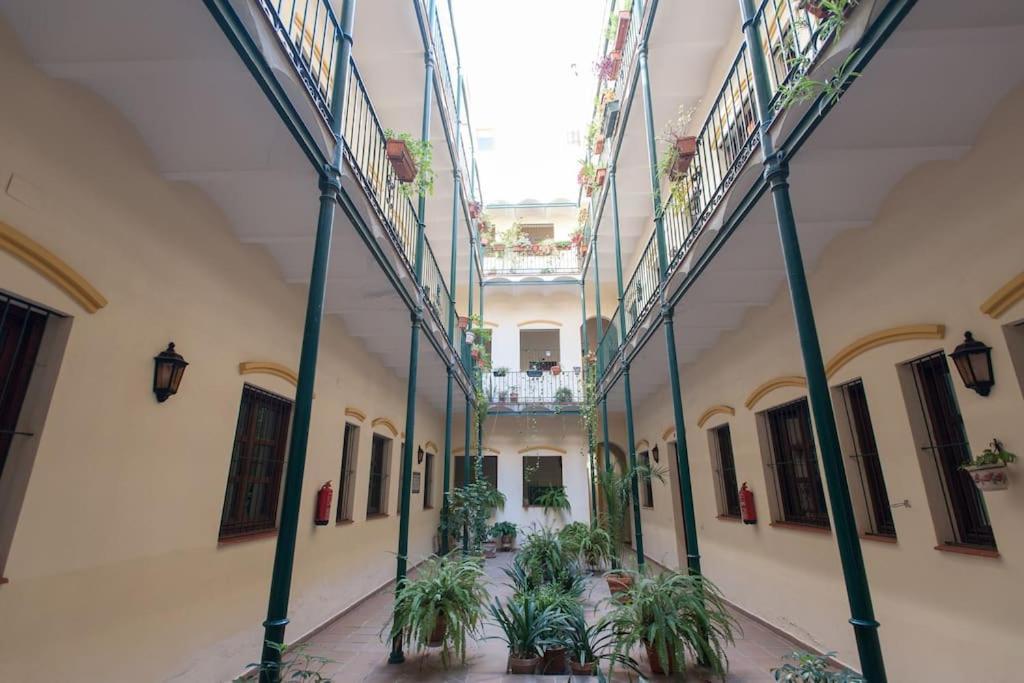 Amazing Penthouse In Triana With Jacuzzi Centro Apartment