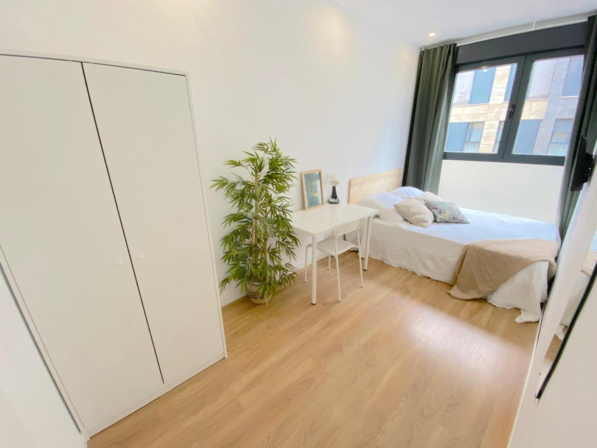 Apartment Premium Serenity