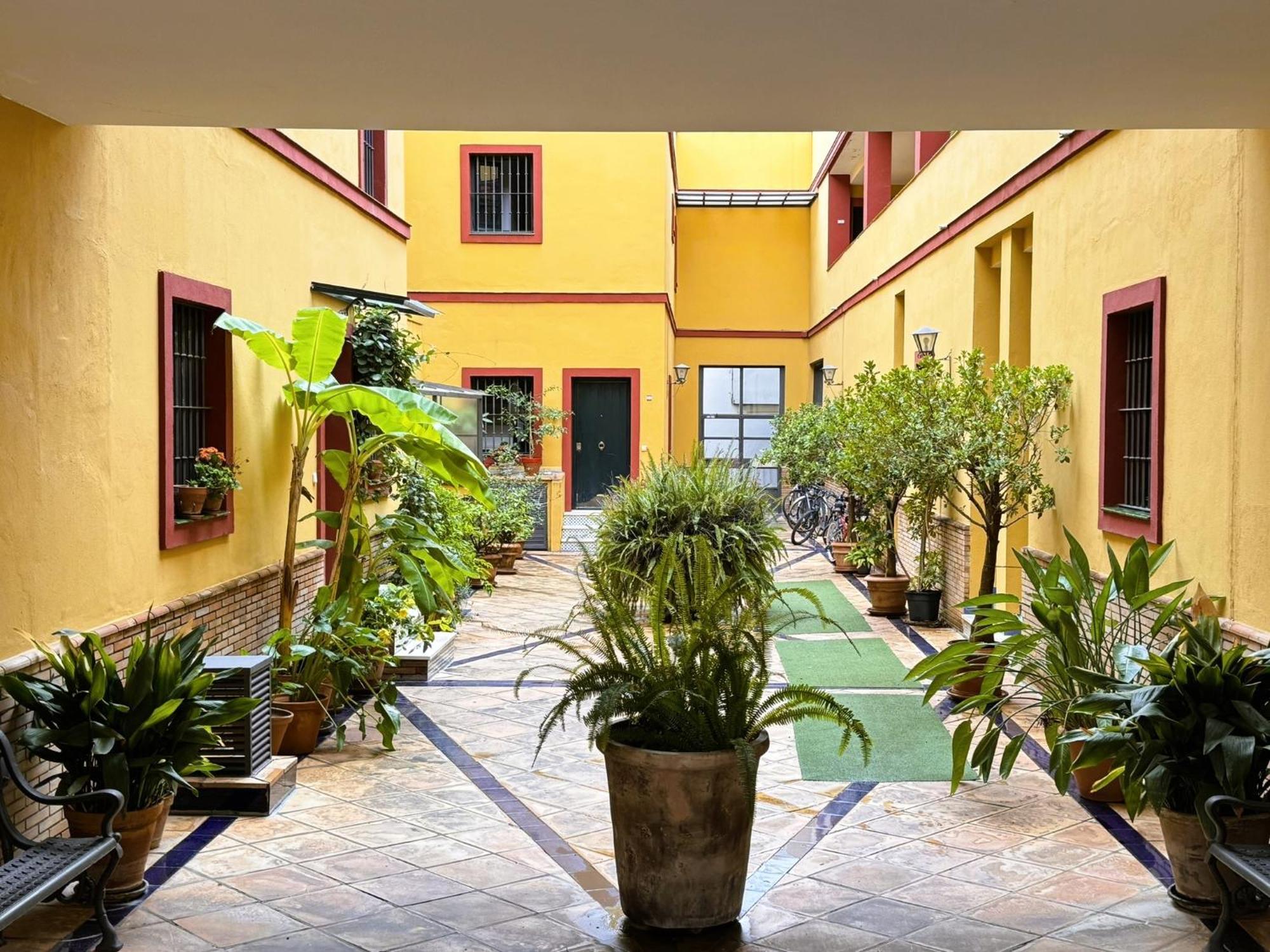 Duplex - Terraza Solarium - Alameda De Hercules Apartment