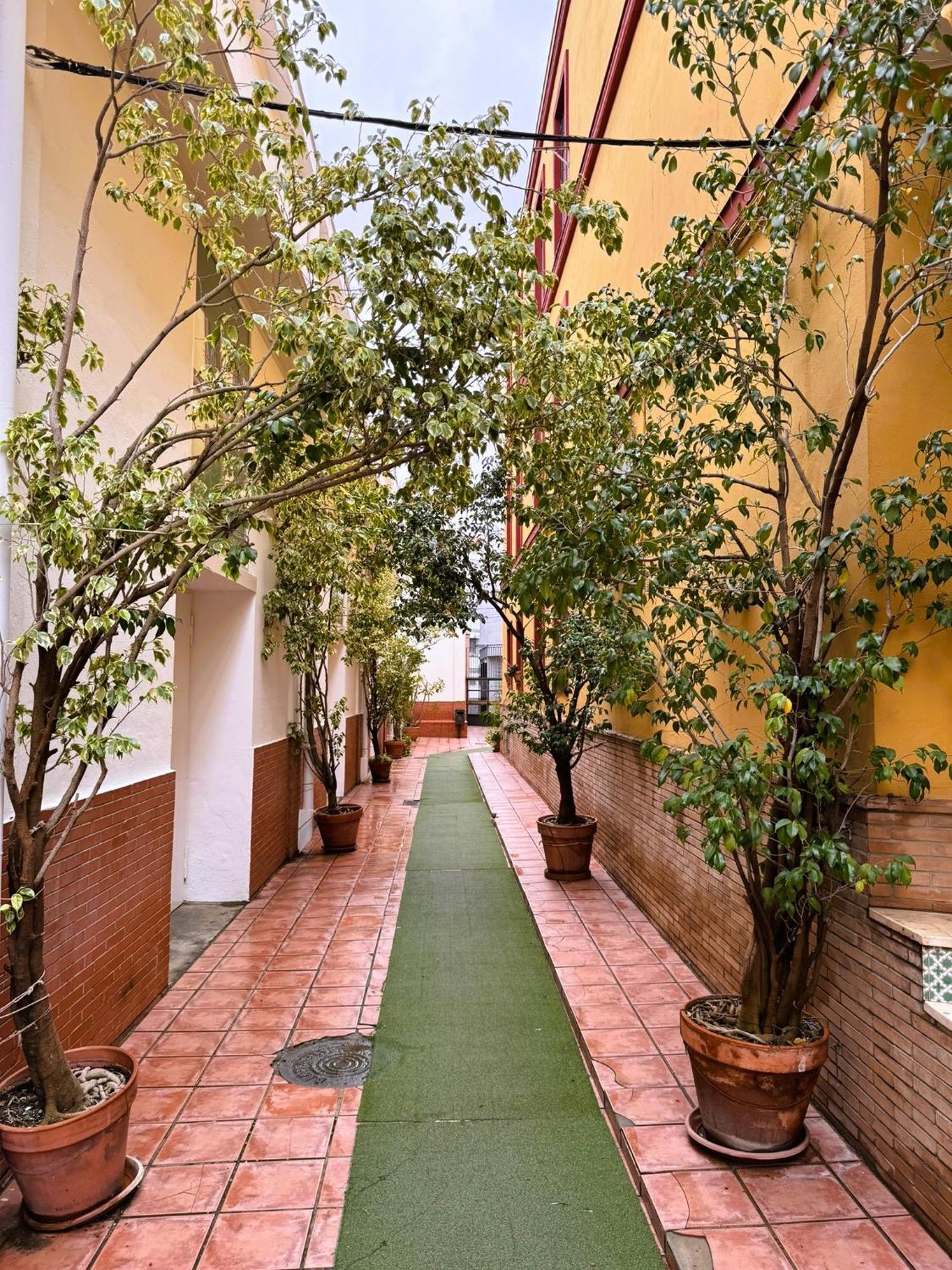 Duplex - Terraza Solarium - Alameda De Hercules * Seville