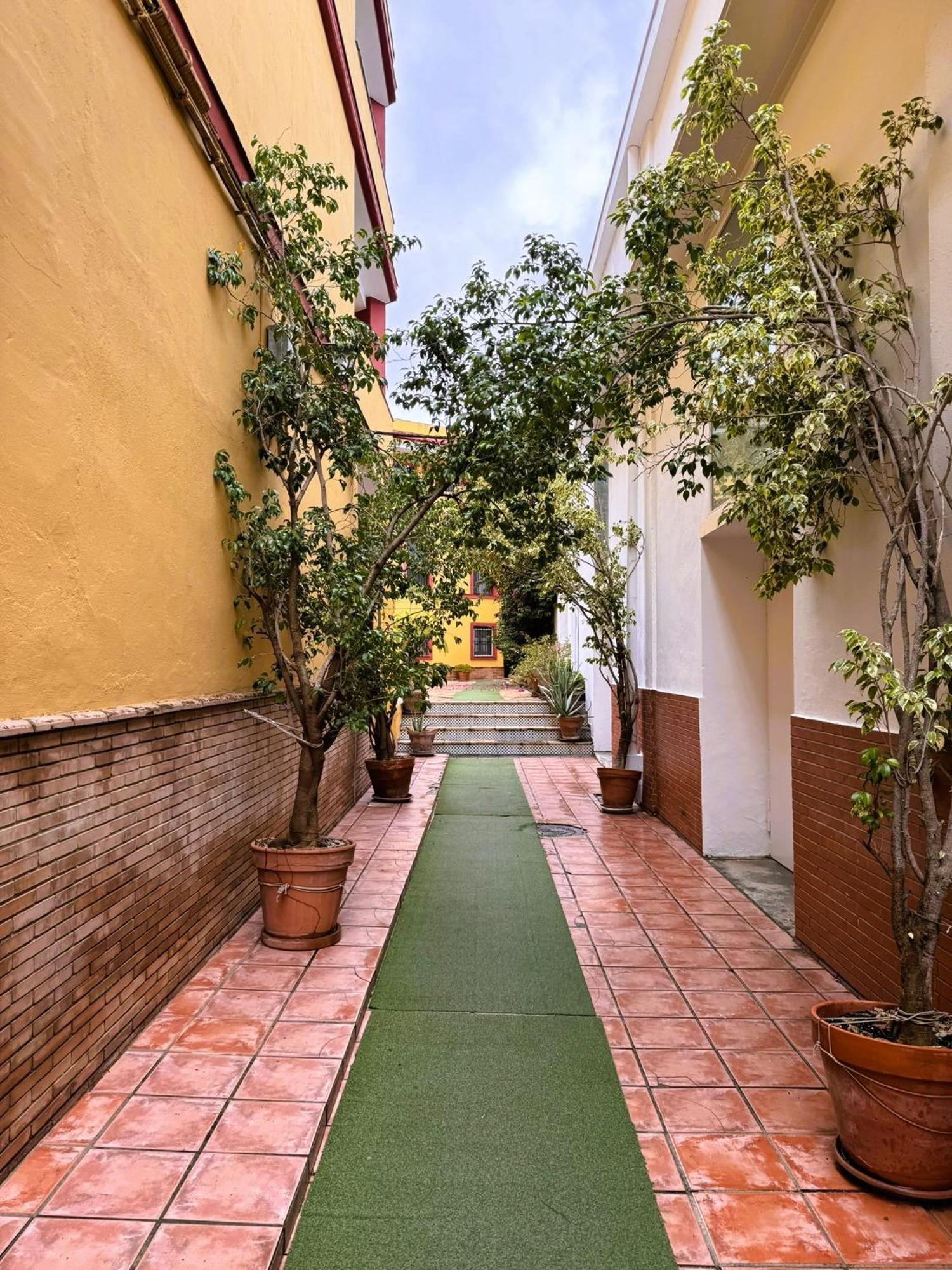 Duplex - Terraza Solarium - Alameda De Hercules * Seville