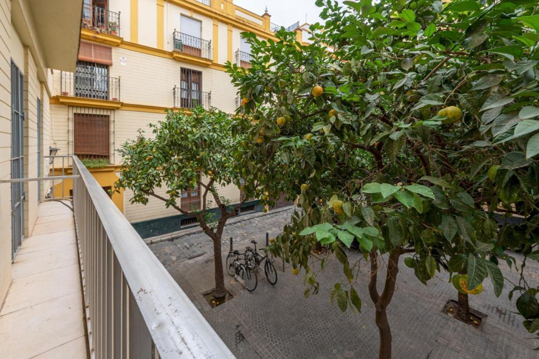 Apartment Wide With Beautiful Kitchen 2bd 3bth -arenal
