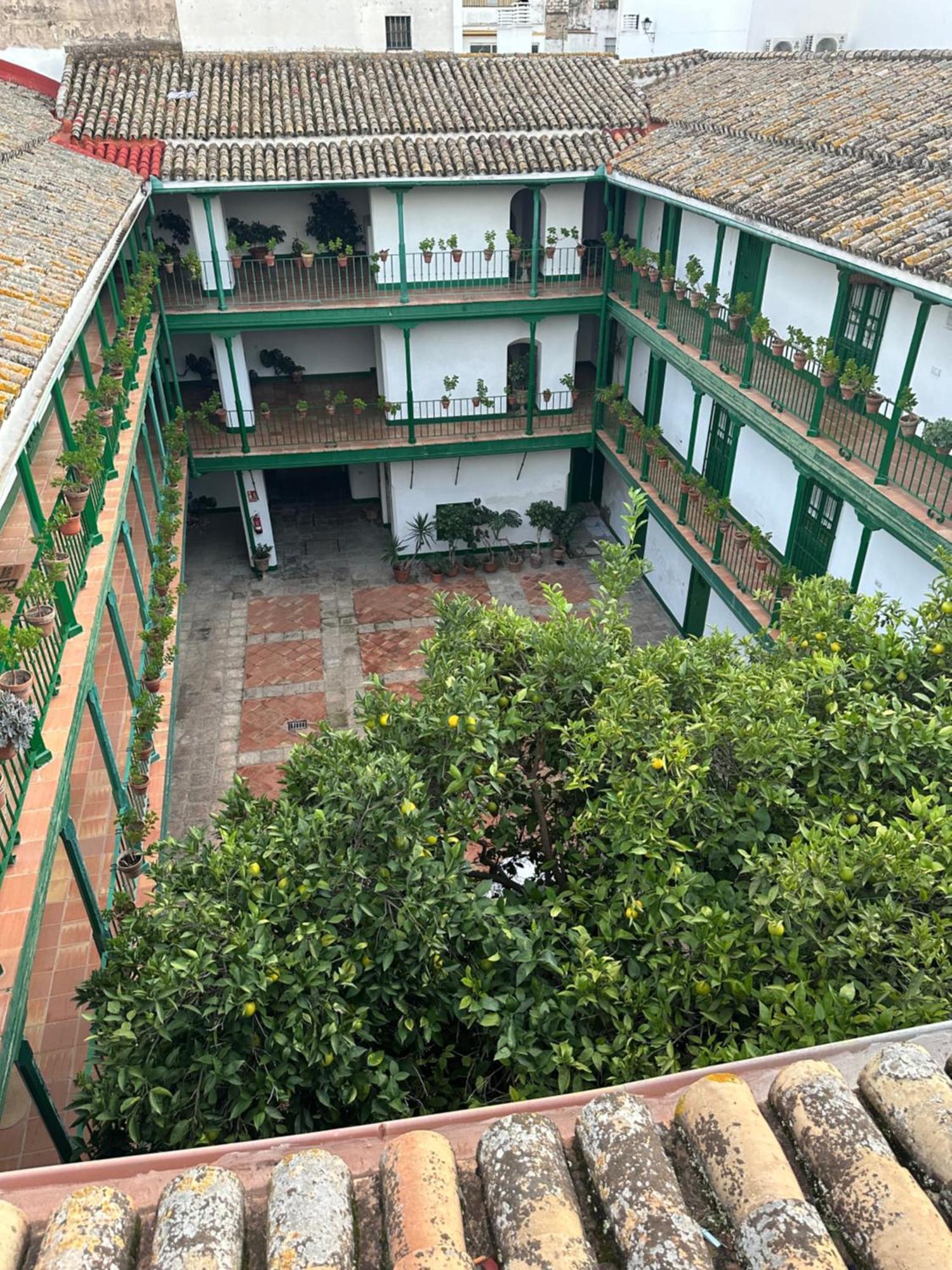 Casa Duque Compartida Familiar 1-Habitacion Con Bano Propio * Seville