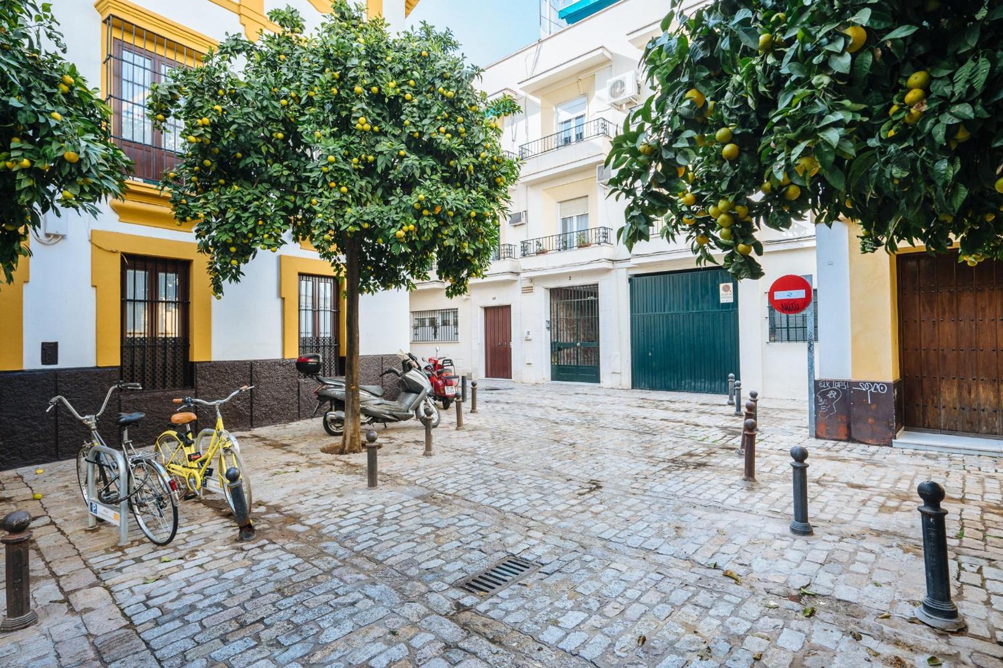 Bright Bunk Bed In Historic Center * Seville