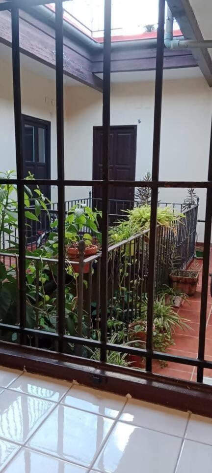 Hosfty Centro San Marcos 2 Apartamento *