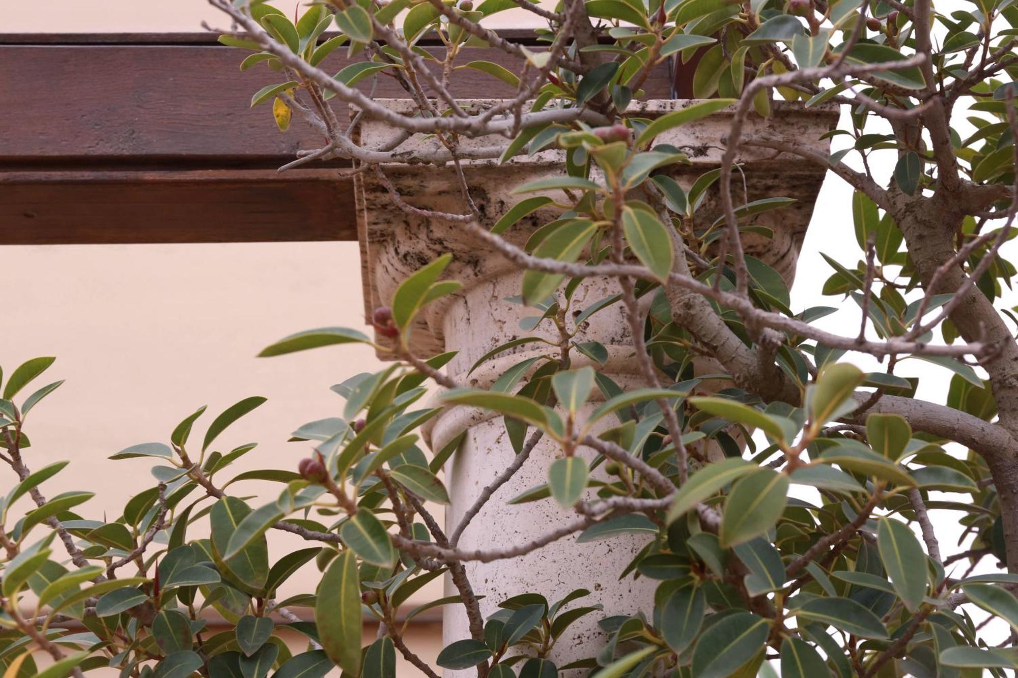 Casa Romana Boutique Sevilla