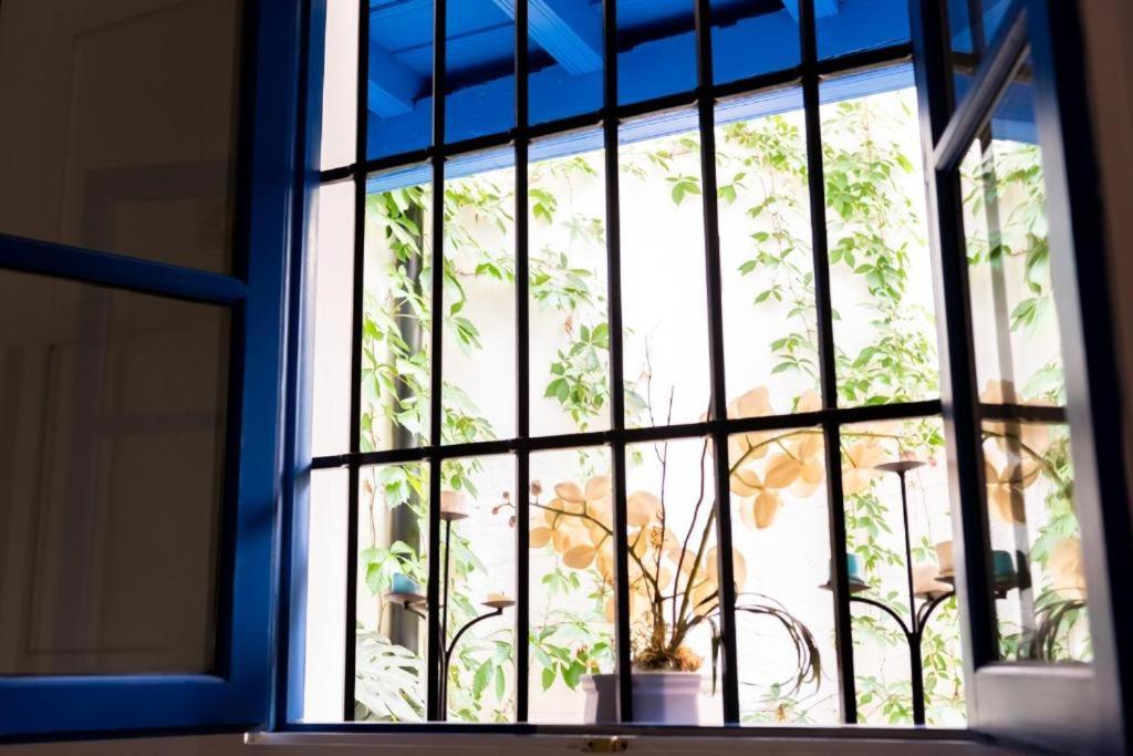 Tourist House Vidrio Seville