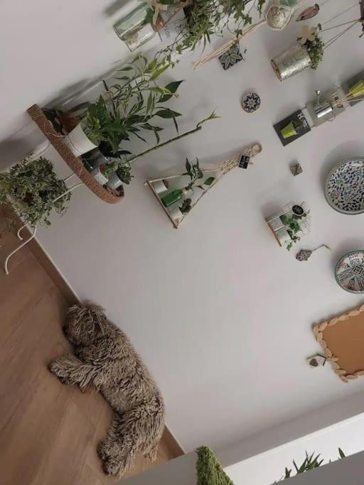 Apartment Inocentes Seville