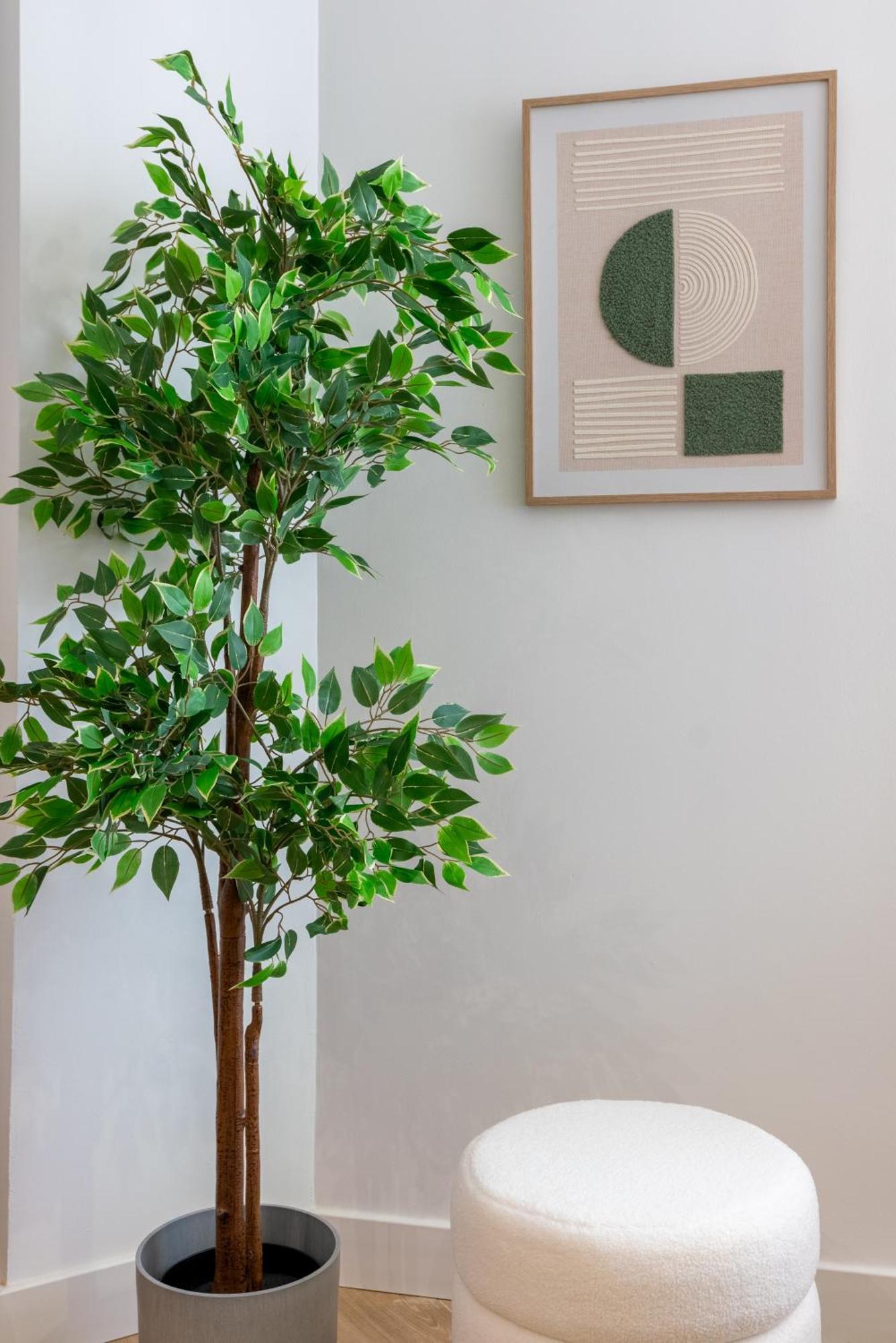 Diseno Y Comodidad En Bami * Sevilla