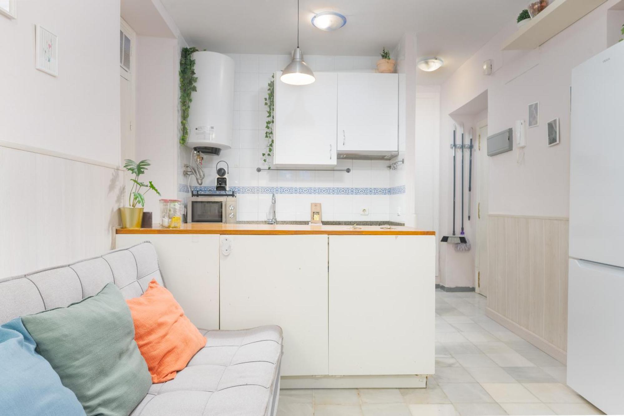Apartment Functional And Pretty-1bd 1bth- San Vicente Seville