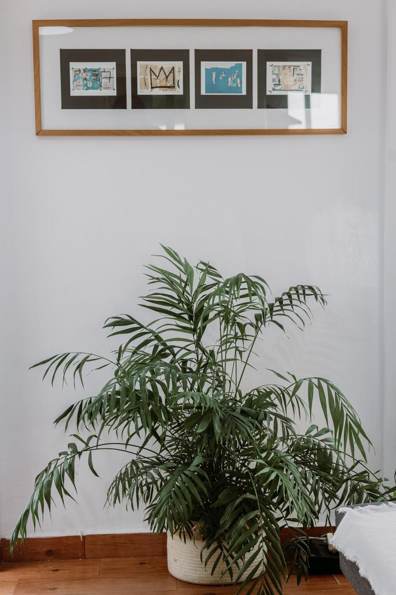 Spacious Apartamento Sevilla