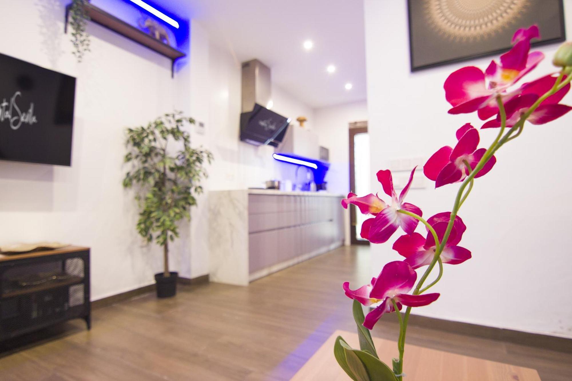 Apartamento Rentalsevilla Looks Pretty And Modern