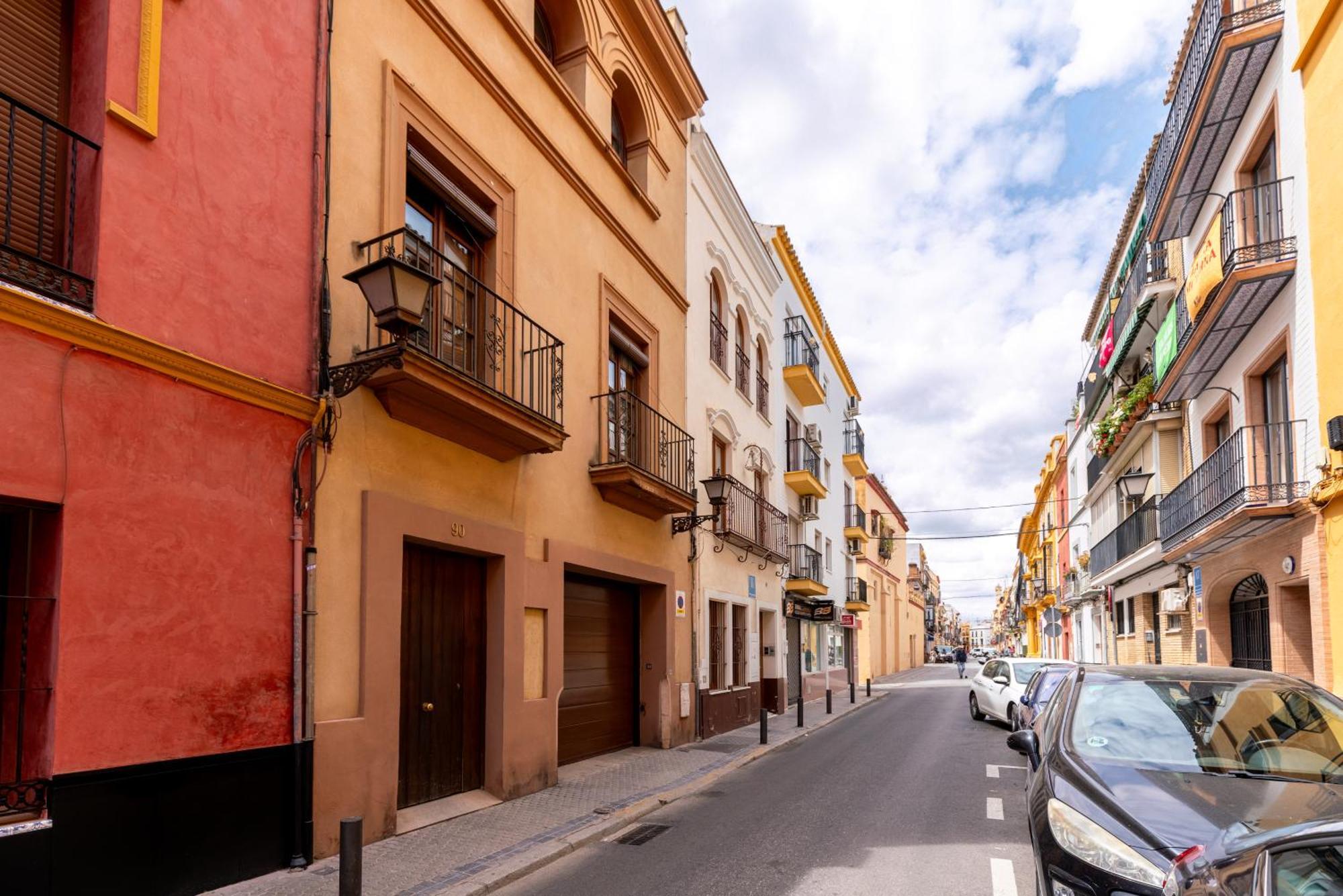 Luminoso En Pureza Seville